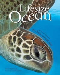 LIFESIZE OCEAN (ISBN: 9780753436349) LIFESIZE OCEAN (ISBN: 9780753436349)