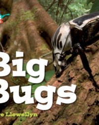 BIG BUGS (ISBN: 9781107550643)