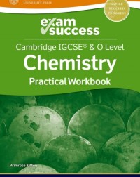NEW CAMBRIDGE IGCSE AND O LEVEL CHEMISTRY: EXAM SUCCESS PRACTICAL WORKBOOK (ISBN: 9781382006385)
