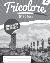 TRICOLORE 5E ÉDITION GRAMMAR IN ACTION WORKBOOK 2 (ISBN: 9781408527443)