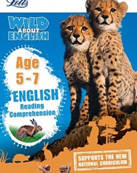 READING COMPREHENSION AGE 5 7(ISBN:9781844198894)