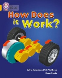 HOW DOES IT WORK (ISBN: 9780007186273)
