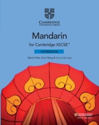 CAMBRIDGE IGCSE MANDARIN WORKBOOK (ISBN: 9781108738910)